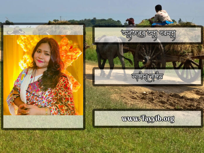 অনুভবের-অণু-পরমাণু_সাঈদা-নাঈম_Saida-Naim_Writer_লেখক_বাংলাদেশ_সাহিত্য_Sahitto_তায়্যিব_Tayyib_tayyibhq