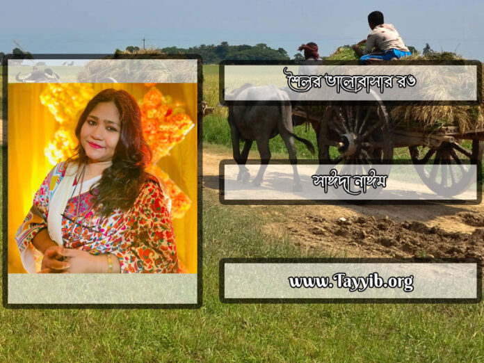 শৈলর-ভালোবাসার-রঙ_সাঈদা-নাঈম_Saida-Naim_Writer_লেখক_বাংলাদেশ_সাহিত্য_Sahitto_তায়্যিব_Tayyib_tayyibhq