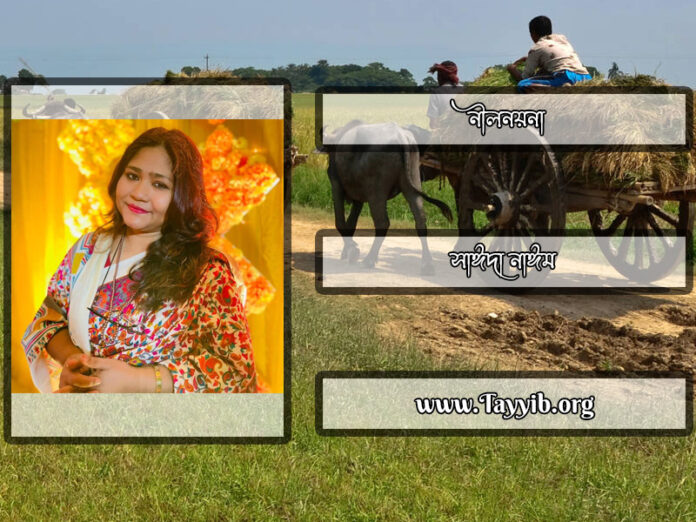 নীলনয়না_সাঈদা-নাঈম_Saida-Naim_Writer_লেখক_বাংলাদেশ_সাহিত্য_Sahitto_তায়্যিব_Tayyib_tayyibhq
