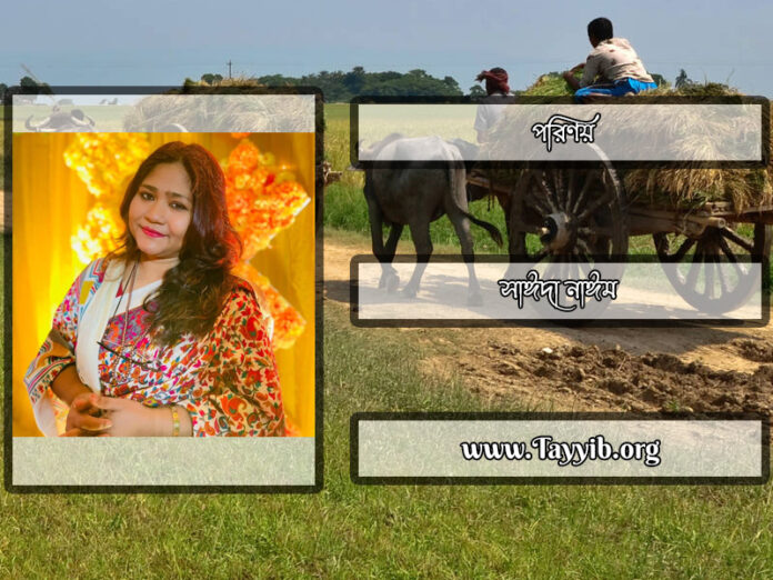 পরিণয়_সাঈদা-নাঈম_Saida-Naim_Writer_লেখক_বাংলাদেশ_সাহিত্য_Sahitto_তায়্যিব_Tayyib_tayyibhq