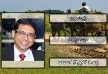 পেপার ওয়েট