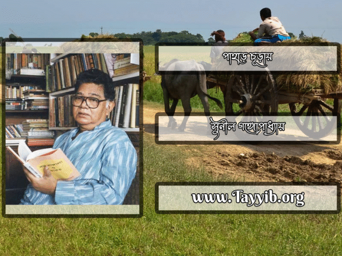 পাহাড়-চূড়ায়_সুনীল-গঙ্গোপাধ্যায়_SUNIL-GANGOPADHYAY_Writer_লেখক_সাহিত্য_Sahitto_তায়্যিব_TAYYIB_TAYYIBORG_TAYYIBHQ_TAYYIBBANGLADESH